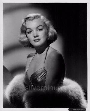 Orig MARILYN MONROE In Swimsuit RARE PIN UP Portrait GORGEOUS Silverpinups