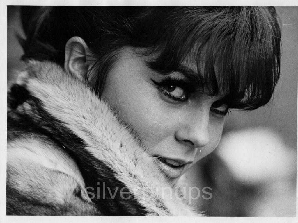 Orig 1966 Ann Margret Smoldering Close Up Candid Portrait “the Swinger” Silverpinups