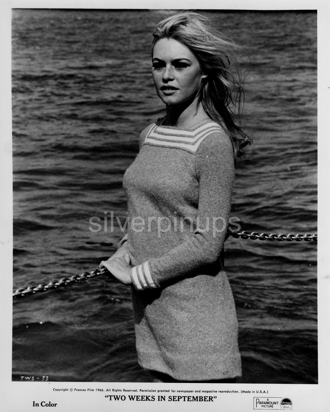 Orig 1967 Brigitte Bardot Wind Swept Beauty Candid Glamour Portrait Gorgeous Silverpinups 8146