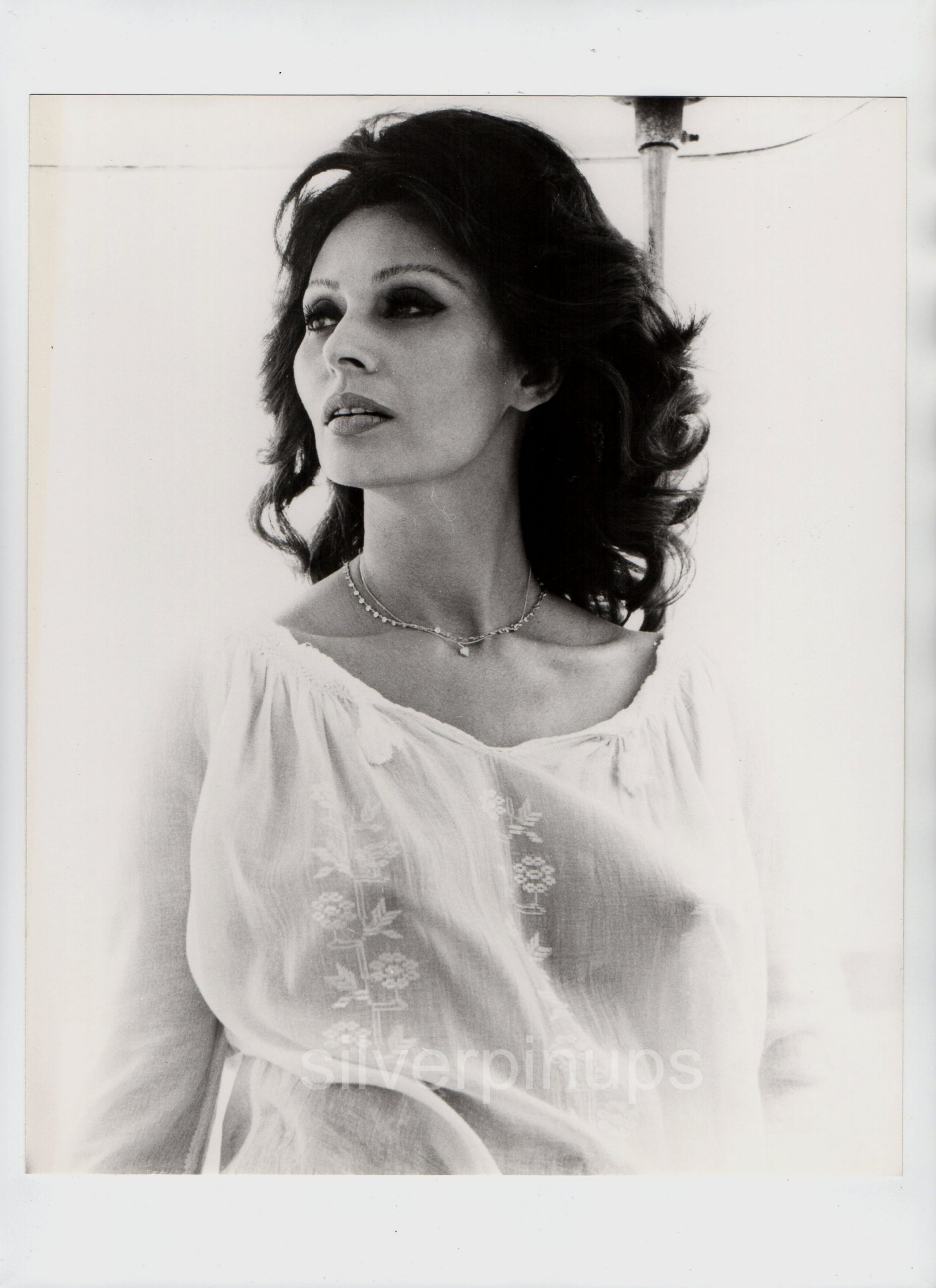 Busty Sophia Loren