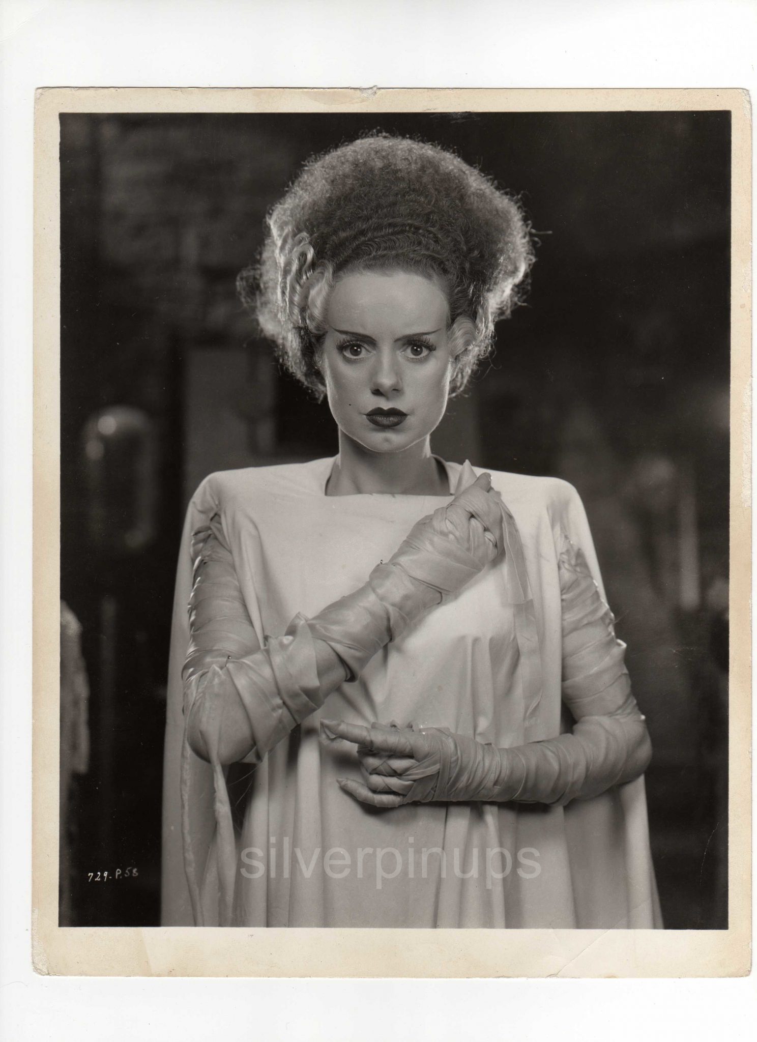Orig 1935 Elsa Lanchester As The Bride Horror Portrait “the Bride Of Frankenstein” Silverpinups 