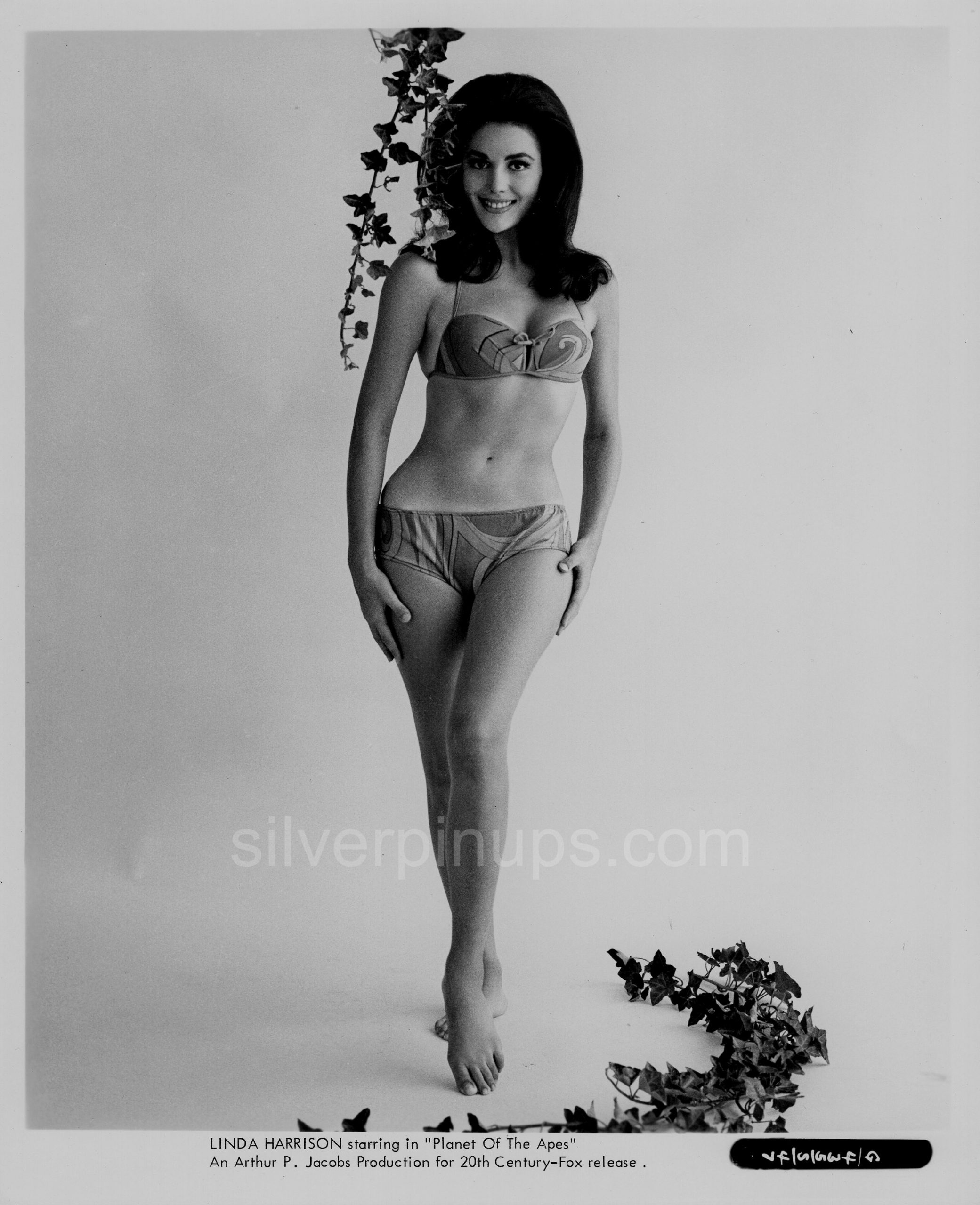 Orig 1968 LINDA HARRISON in Bikini.. Pin-up Portrait “PLANET OF THE APES” –  Silverpinups